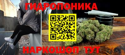 а пвп мука Ачхой-Мартан