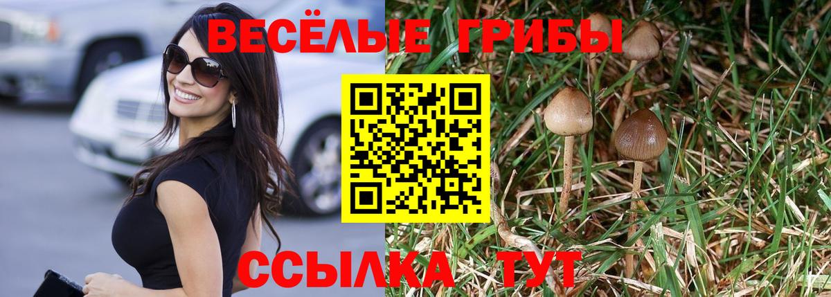 Псилоцибиновые грибы Magic Shrooms  Вход с VPN  где можно купить   Комсомольск-на-Амуре  Галлюциногенные грибы MAGIC MUSHROOMS 